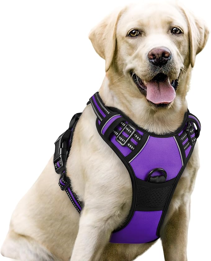 rabbitgoo Dog Harness, No-Pull Pet Harness with 2 Leash Clips, Adjustable Soft Padded Dog Vest, Reflective No-Choke Pet Oxford Vest with Easy Control Handle for Large Dogs, Purple, L-Mewly Pet