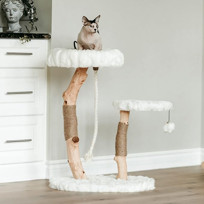Mau Lifestyle Luxury Cat Tree: Modern Cat Condo & Luxury Wood Cat Tower; Natural Branch Scratching Tree & Cat Condo; Cat Gifts by Mau-Mewly Pet