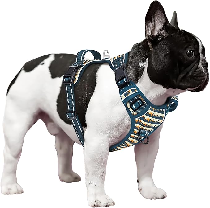 Timos Dog Harness, 3 Snap Buckles No-Pull Soft Padded Dog Vest with 2 Metal Leash Clips, Adjustable Reflective No Choke Pet Harness with Easy Control Handle for Small Dogs, Sunset Valley, S-Mewly Pet