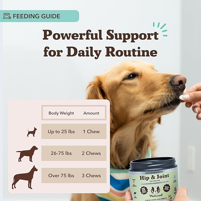 Natural Dog Company Vet Strength Hip & Joint Chews for Senior Dogs (90ct) Joint & Flexibility Support, Arthritis Relief for Senior Dogs, 1.3X Glucosamine, 2X Green Lipped Mussel & MSM for Dog Mobility-Mewly Pet