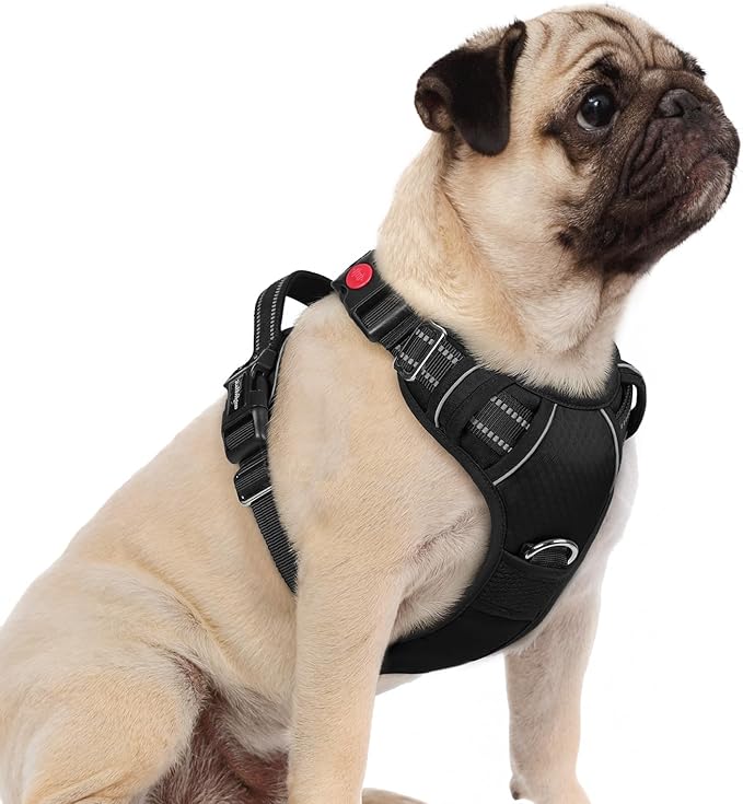 rabbitgoo Dog Harness Small Sized, No Pull Dog Vest with 3 Buckles, Adjustable Soft Padded Pet Harness with Easy Control Handle and Reflective Strips, Black, S-Mewly Pet