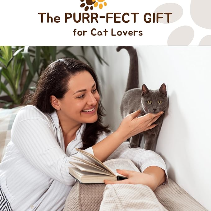 Ping Pong Balls for Cats, 6 Pack, Enrichment Toys, Cat Lovers Gift Ideas, Ball Pits, Bouncy-Mewly Pet