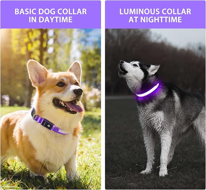 PcEoTllar Light up Dog Collar for Night Walking - LED Dog Collar Light Rechargeable Color Changing, Glow in The Dark Dog Collars Waterproof Glowing Dog Collars for Large Small Medium Dogs-Mewly Pet