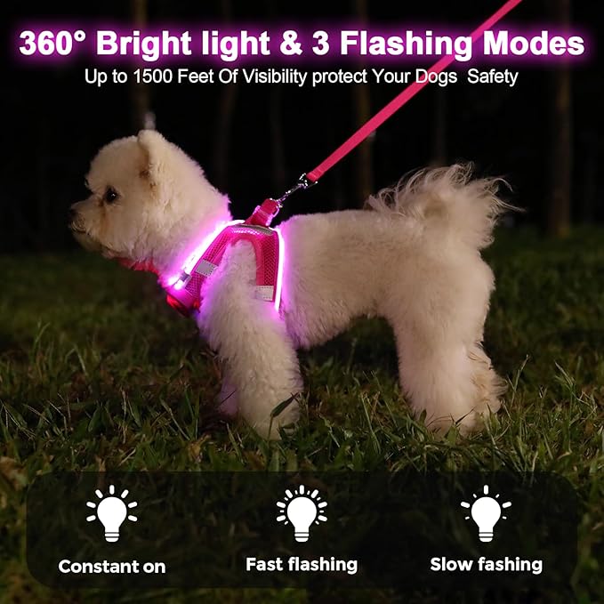 Light Up Dog Harness,Rechargeable LED Dog Harness for Small Medium Large Dogs,Reflective Lighted Safety Vest for Night Walking & Camping,Lightweight & Adjustable,Pink,S-Mewly Pet