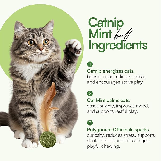 3 Pcs Catnip Balls with Feathers – Natural Catnip Toy for Play, Stress Relief & Healthy Enrichment Interactive Cat Toys Perfect for Indoor Cats & Kittens, Encourages Active Play & Wellness-Mewly Pet