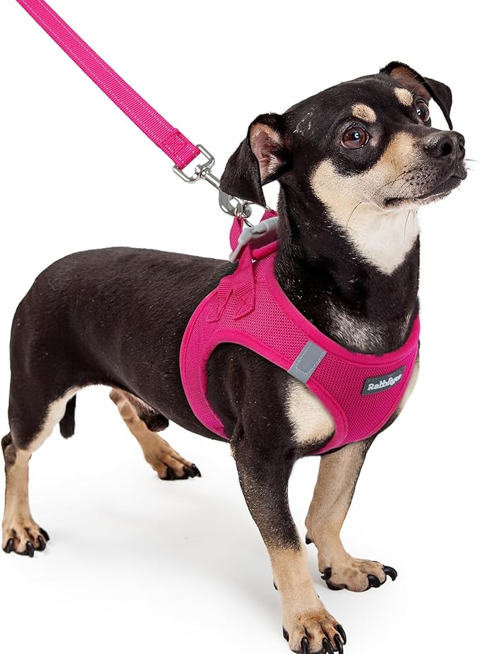 rabbitgoo Dog Harness Small Sized and Leash Set, Step in Soft Light Puppy Vest, Breathable Mesh Pet Harness, Reflective for Safe Easy Walking, Rosa Red XXXS-Mewly Pet
