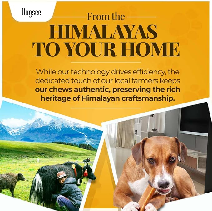 Dogsee Original Himalayan Yak Cheese Dog Chews 2lb (Large - 8 Bars) | Rawhide Free | Fight Plaque & Tartar | Long Lasting | for Cleaning Teeth-Mewly Pet