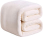 Richave 350GSM Fleece Blankets Twin Size for The Bed Warm Sofa Blanket 66" x 90"(Ivory Twin)