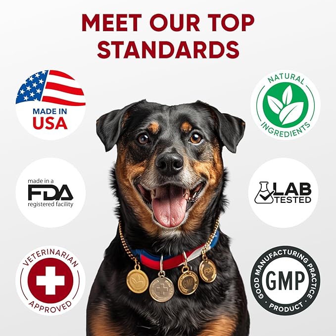 Probiotics for Dogs Digestive Health - Probiotic Chews for Gut Health, Itchy Skin Yeast, Diarrhea - USA Product - Immune Support Supplement - Dog Digestive Support & Allergy Relief Chews with Enzymes-Mewly Pet