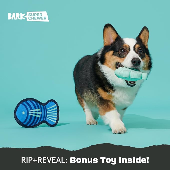 Barkbox Super Chewer Rad Herring Hard Core Toy with Rip Away Plush for Aggressive Chewers, Medium-Mewly Pet
