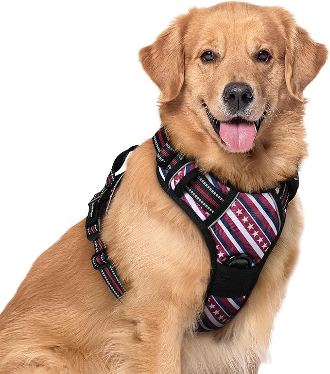 rabbitgoo Dog Harness No Pull with 2 Leash Clips, Adjustable Soft Padded, Reflective Oxford No Choke Pet Vest with Easy Control Handle for Large Dogs, Red Stripe, XL-Mewly Pet