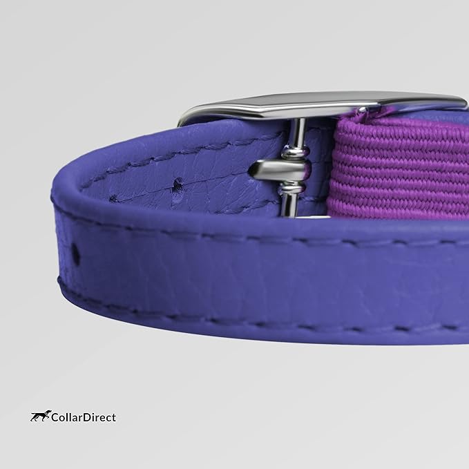 CollarDirect Leather Cat Collar, Kitten Collar with Removable Bell Black Blue Red Orange Lime Green (8-11 Inch, Purple)-Mewly Pet