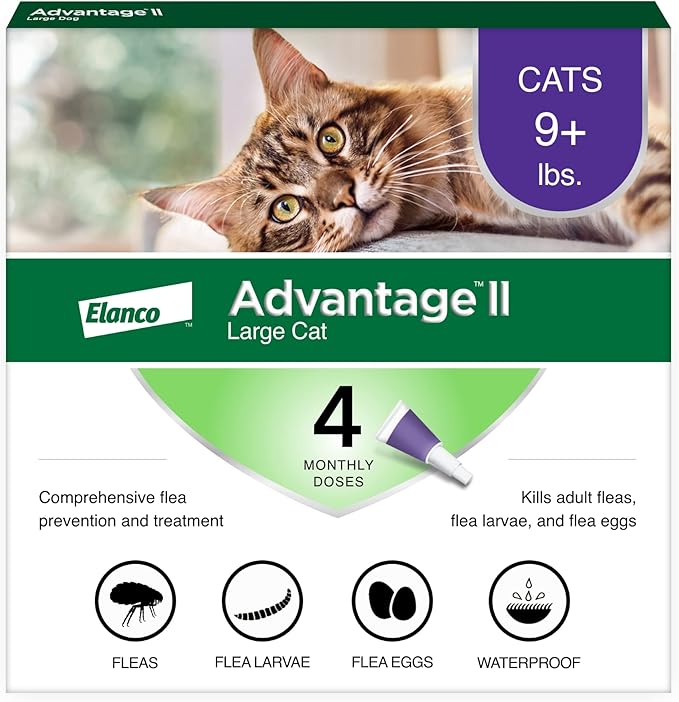 Advantage II Large Cat Vet-Recommended Flea Treatment & Prevention | Cats Over 9 lbs. | 4-Month Supply-Mewly Pet