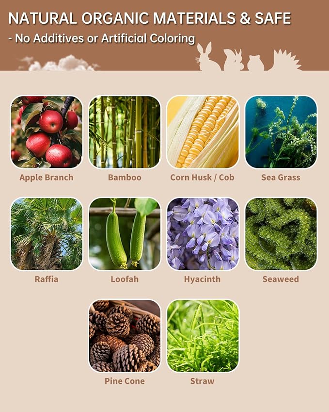 31PCS Rabbit Chew Treat Toys for Teeth Health, Natural Bunny Enrichment Toys for Boredom & Stress Relief, Keep Busy Toys for Guinea Pig Chinchilla Hamster Rat Gerbil Degu Indoor Outdoor-Mewly Pet