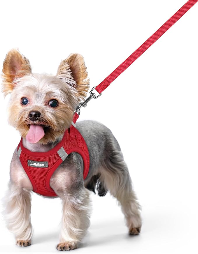 rabbitgoo Dog Harness Small Sized and Leash Set, Step in Soft Light Puppy Vest, Breathable Mesh Pet Harness, Reflective for Safe Easy Walking, Red XS-Mewly Pet