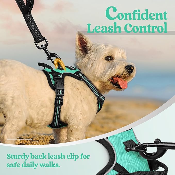 rabbitgoo Dog Harness No Pull with 2 Leash Clips, Adjustable Soft Padded, Reflective Oxford No Choke Pet Vest with Easy Control Handle for Puppy, Turquoise, XS-Mewly Pet
