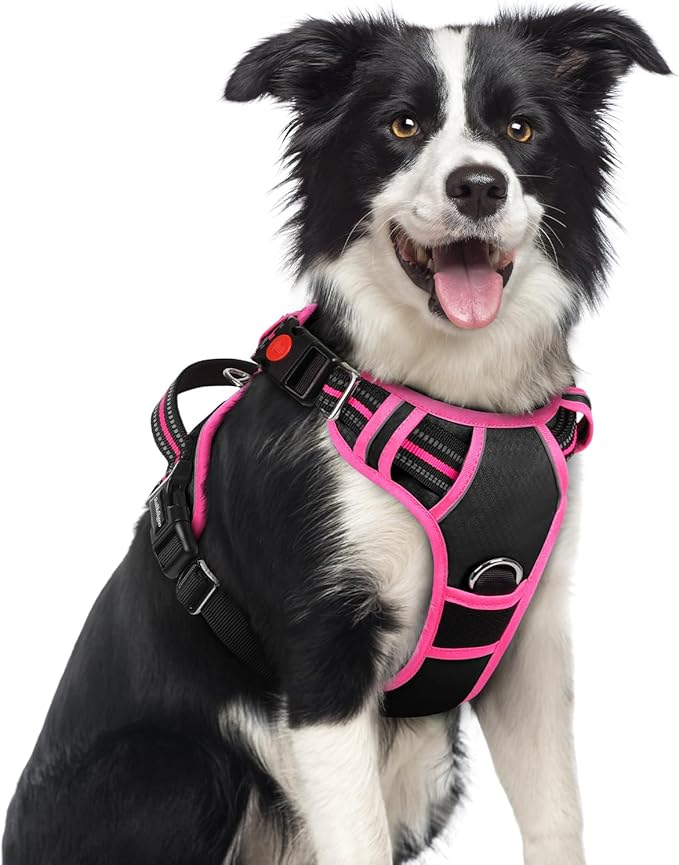 rabbitgoo Dog Harness Medium Sized, No Pull Dog Vest with 3 Buckles, Adjustable Soft Padded Pet Harness with Easy Control Handle and Reflective Strips, Black & Rose Pink, M-Mewly Pet