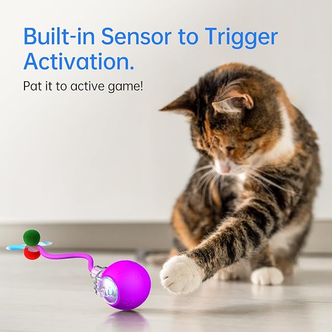 Interactive Cat Toys for Indoor Cats - Kitten Toy with Speedy Tail 2.0, Automatic Cat Toys for Bored Indoor Adult Cats, Motion-Activated, 2025 New Upgraded, USB Rechargeable (Purple)-Mewly Pet