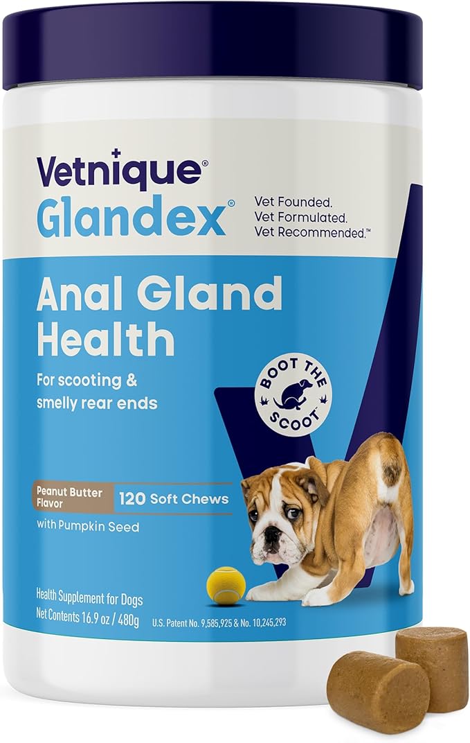 Vetnique Glandex Anal Gland Soft Chew Treats with Pumpkin for Dogs Digestive Enzymes, Probiotics Fiber Supplement for Dogs Boot The Scoot (Peanut Butter Chews, 120 Count)-Mewly Pet