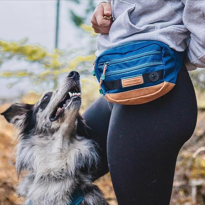 Wilderdog Utility Fanny Pack stores Treats, Balls, Keys in 3 Pockets with adjustable strap and Poop Bag dispenser (Pacific Blue)-Mewly Pet