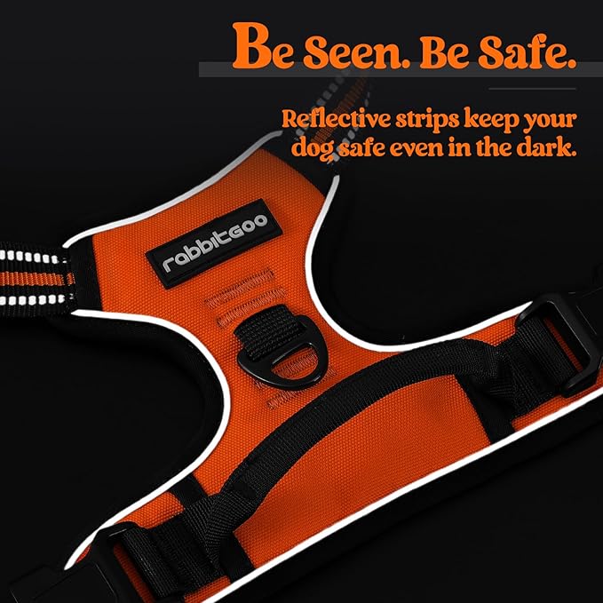 rabbitgoo Dog Harness No Pull with 2 Leash Clips, Adjustable Soft Padded, Reflective Oxford No Choke Pet Vest with Easy Control Handle for Medium Sized Dogs,Orange, M-Mewly Pet