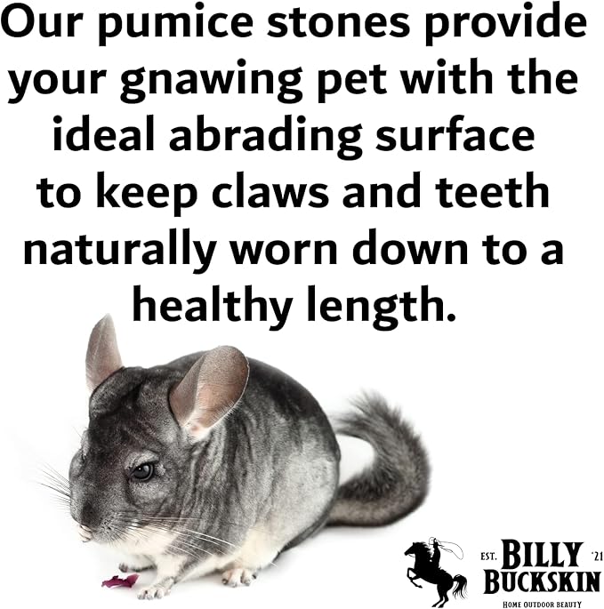 Chinchilla Chew Toys, Pumice Chew Blocks, Lava Block for Hamster, Rat, Mice, Degus, Gerbils, Small Animal Toys, Guinea Pigs, Rabbit Toy, Bunny Toy by Billy Buckskin (Pack of 6)Mined in USA-Mewly Pet