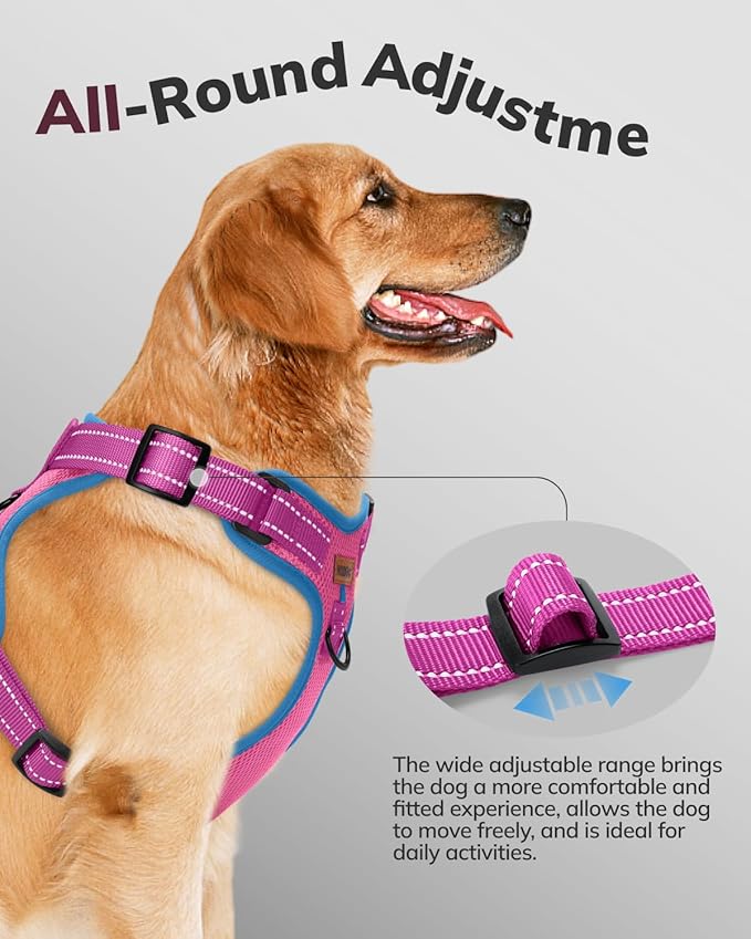 MIDOG No-Pull Dog Harness | Adjustable & Reflective Pet Harness Leash Set for Small Medium Large Dogs Walking, Training| No Choke, Front Clip, Soft Padded Vest with Easy Control Handle - Pink, S-Mewly Pet