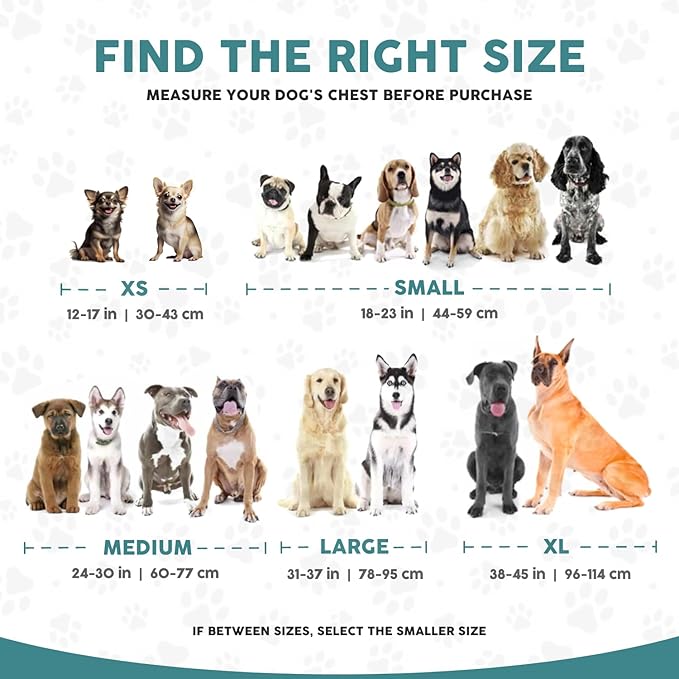 Embark Adventure Dog Harness, Reflective Trim XL Dog Harness for Extra Large Dogs No Pull - Military Grade Nylon, 2 Leash Clips & Gel Lined Handle.-Mewly Pet