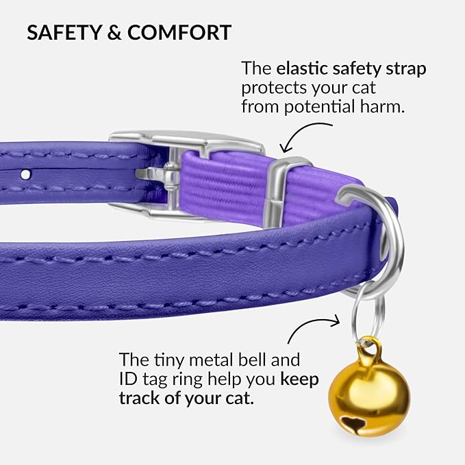 CollarDirect Leather Cat Collar with Bell - Kitten Collar, Small and Big Cat Strap for Boy Cats, Girl Cats with Safety Elastic Strap (Neck Fit 6"-7", Purple)-Mewly Pet