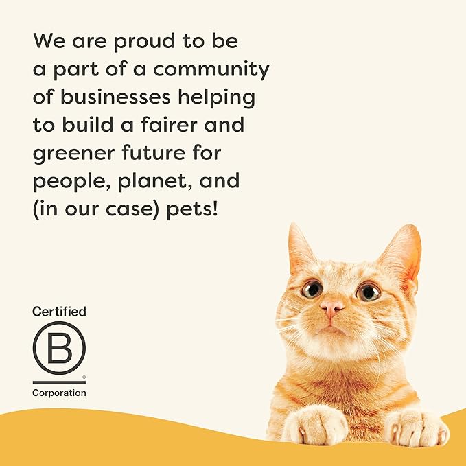 Applaws Vitality Wet Cat Food in Broth, Natural Canned Cat Food, Wet Food for Cats with Added Vitamins and Minerals, Grain Free, Carrageenan Free, Chicken Breast in Broth (24 Count, 5.5oz Cans)-Mewly Pet