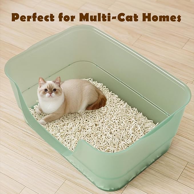 Extra Large Cat Litter Box with Clear Jelly Color,High Sided Litter Box for Big Cats,XL Cat Litter Box for Multiple Cats,Jumbo Cat Litter Box,Giant Kitty Litter Box,Anti-Splashing,Easy to Clean-Mewly Pet