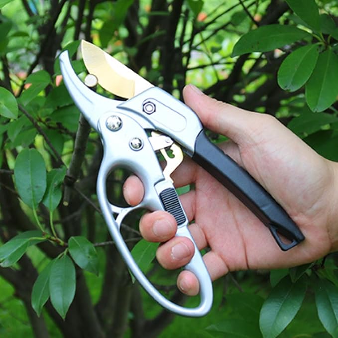 Ultra Sharp Germany Titanium Steel Pruning Shears - Cuts 3X Easier, Weak Hand Arthritis Snips, Rust-Resistant, Effortlessly 1-Inch Cut Capacity Garden Scissors, Ergonomic Handle-Mewly Pet