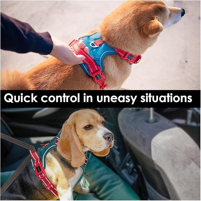 PHOEPET No Pull Dog Harness, Unique Colors Reflective Adjustable Dog Vest, with Soft Training Handle Metal Clips for Small Medium Large Dogs (Teal Base & Red Straps,L)-Mewly Pet