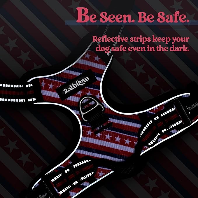 rabbitgoo Dog Harness No Pull with 2 Leash Clips, Adjustable Soft Padded, Reflective Oxford No Choke Pet Vest with Easy Control Handle for Large Dogs, Red Stripe, XL-Mewly Pet