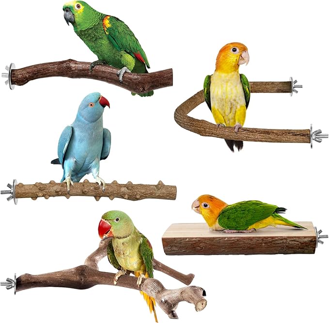 Bird Perches, 5pcs Natural Wood Birds Stand Branch, Bird Perch Chewing Stick Cage Accessories Parrot Climbing Standing Branches Paw Grinding Fork Sets for Cockatiels Ringneck Parrots-Mewly Pet