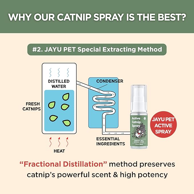 JAYU PET Active Catnip Spray - High Potency Transparent Liquid Spray made of Fresh Organic Catnip for Indoor Cats and Kittens, Relieves Stress, Calming, Revives Toys (1fl oz) (Catnip Spray, 1fl oz)-Mewly Pet