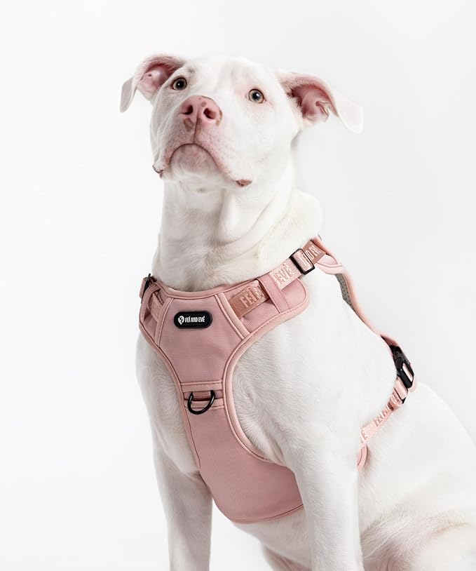 2025 New Edition, Fei & Eve MagEase Dog Harness - 3-Second Magnetic Buckles | 3-Point No-Pull Control | Heavy-Duty 900D Nylon | Dual Safety Handles | Breathable Mesh | Adjustable Fit | Small, Pink-Mewly Pet