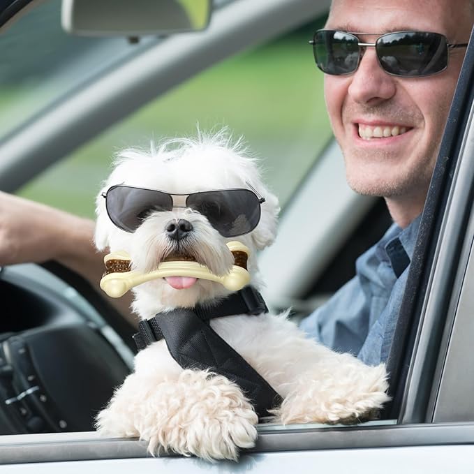 Sosation 6 Pcs Dog Toys for Aggressive Chewers Nylon Beef Flavor Bones Tough Puppy Teething Toys Puppy Chew Bones for Large Medium Small Breed Dogs Puppies Pets Chew Toys(Small Medium Large)-Mewly Pet