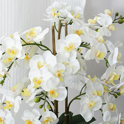 Ziwon Artificial Orchid Flowers & Plants Potted in Ceramic Pot, White Faux Phalaenopsis Orchids for Table Centerpiece, Realistic Fake Flower Arrangement for Home Office Decor Indoor
