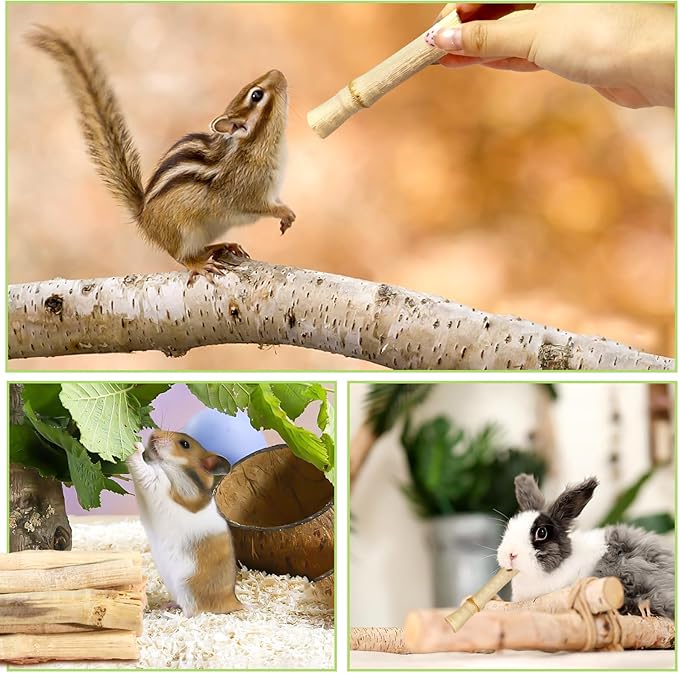 2lb Natural Sweet Bamboo Chew Toys for Small Pets - Organic Molar Sticks with Xylose & Vitamins for Rabbit, Guinea Pig, Hamster - Dental Care & Chewing Entertainment-Mewly Pet