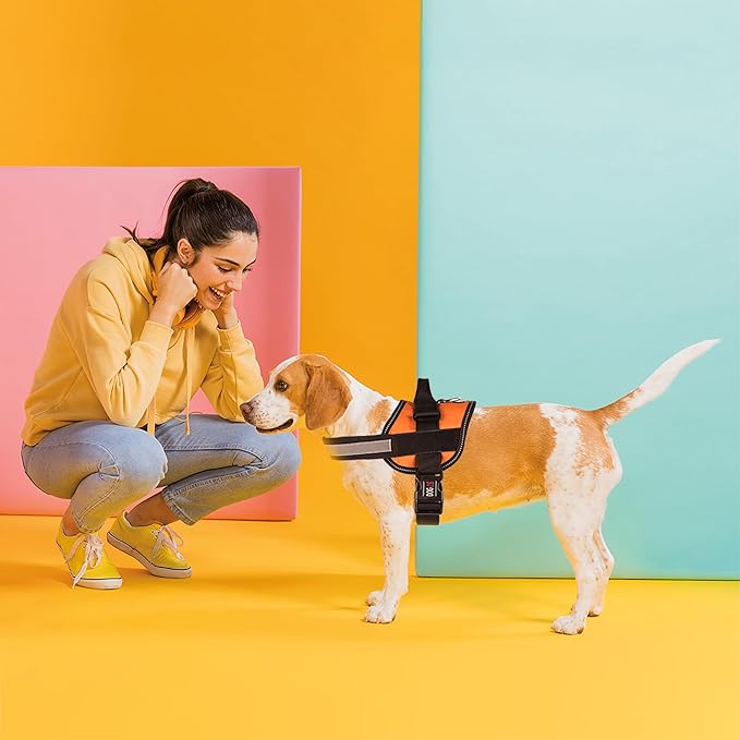 Dogline Dog Harness, Reflective No-Pull Adjustable Vest with Handle for Walking, Training, Breathable, No - Choke Harness for Small, Medium or Large Dogs Room for Patches Girth 22"-28" in Orange-Mewly Pet