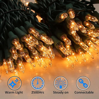 LIDORE Super Bright Clear Mini Christmas Tree String Lights, Gift for Decoration, 21.45FT 100 Count Bulbs with Green Cord, UL Listed Indoor Outdoor Lighting for Holiday (Green Cable, 2-Pack)
