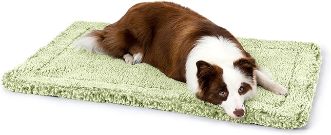 Stoutwool Indestructible Dog Bed - Fluffy Chew Proof Dog Crate Pad - Tough Kennel Pad for Aggressive Chewers - Washable, Ideal for Large Breeds & Fits 36-Inch Crate - 35"x22", Gleam-Mewly Pet