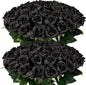 FOTEEWL 60 Pcs Artificial Rose Flower Realistic Faux Silk Roses Stem Fake Roses Bouquet for Flower Arrangement,Wedding Centerpieces,Party,Home Decor,Halloween Decorations (Black)