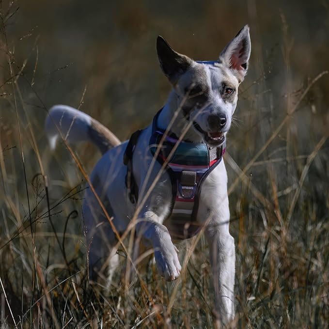 Embark Adventure Dog Harness, Reflective Trim No Pull Harness for Medium Sized Dog - Military Grade Nylon, Front Clip with Gel Lined Handle. Soft & Padded Puppy-Mewly Pet