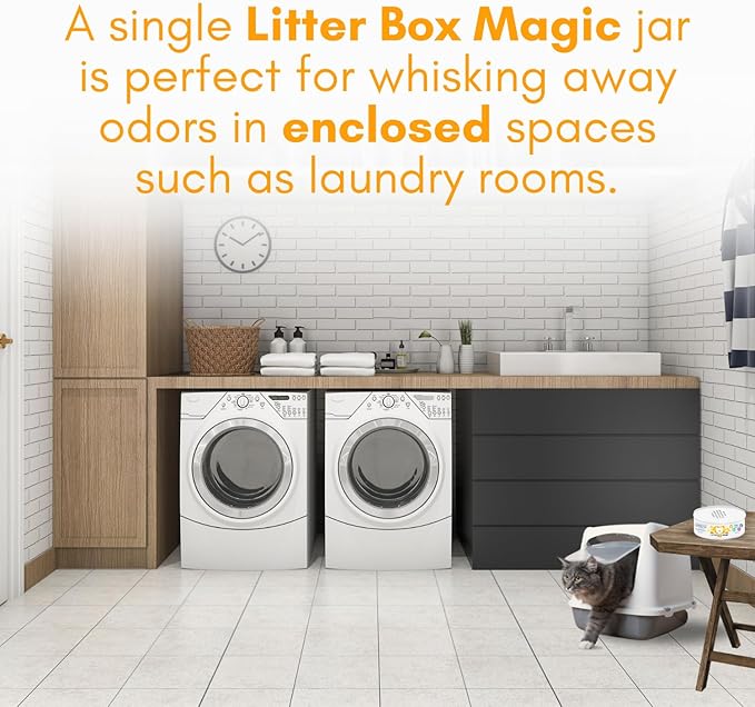 Cat Litter Deodorizer Jar (Orange Scent, 16 Oz, Pack of 1) - Cat Litter Odor Control Gel In A Jar - Cat Litter Box Pet Air Freshener - Litter Odor Eliminator to Freshen Air-Mewly Pet