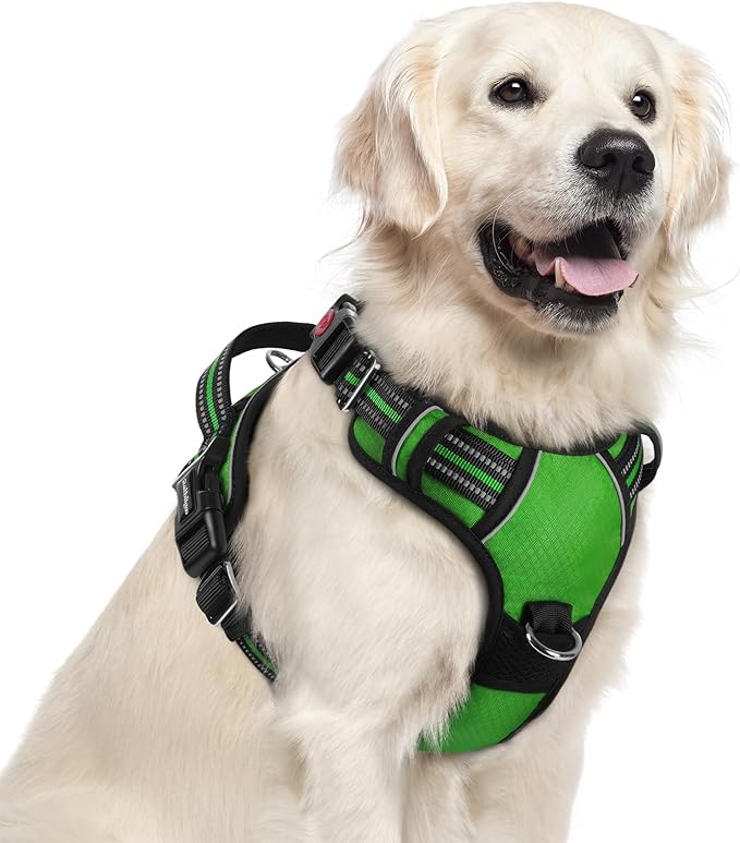 rabbitgoo Dog Harness for Large Dogs, No Pull Pet Vest with 3 Buckles, Adjustable Soft Padded Pet Harness with Easy Control Handle and Reflective Strips, Green, XL-Mewly Pet