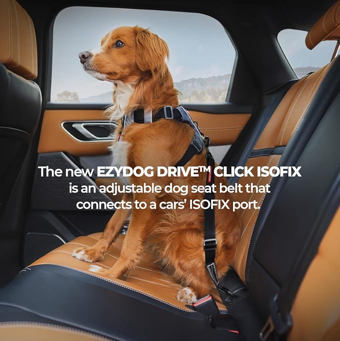 EzyDog Click ISOFIX Standard - Dog Seat Belt Car Harness Attachment for Dogs - Adjustable Dog Restraints Seatbelts for Car Travel and Safety - (17in - 26in, Black)-Mewly Pet