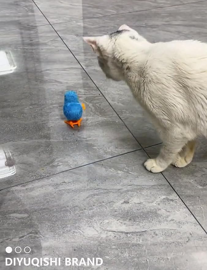 15-Pack Cat Toy Variety for Indoor Cats, Jumping for Joy (1.5'' - 3.7'', Cat Toys Mega Set)-Mewly Pet