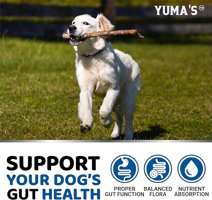 YUMA'S 2 Pack Probiotics for Dogs and Digestive Enzymes - Dog Probiotics Chews - Dog Probiotic - Anti Diarrhea, Upset Stomach & Gas Relief, Constipation, Canine Prebiotic - Pet Fiber Supplement-Mewly Pet